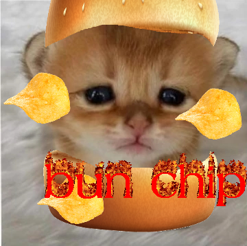 a cat who's definitely not beef chuck with two hamburger buns, a chip, and flaming text that says bun chip